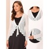INSPIRE CHIC Women's Long Sleeves Self Tie Ruffle Mesh Casual Bolero Cardigan - 2 of 4