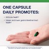 Metagenics UltraFlora Spectrum - Digestive & Immune Health Supplement - Daily Probiotic - Non-GMO & Gluten-Free - 30 Capsules - 3 of 4