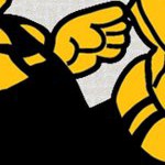 pittsburgh steelers