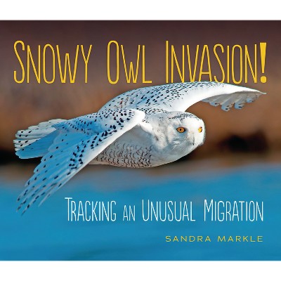 Snowy Owl Invasion! - (Sandra Markle's Science Discoveries) by  Sandra Markle (Paperback)