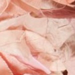 ivory/pink