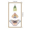 Amanti Art Moth Fairies II by Grace Popp Canvas Wall Art Print Framed 14 x 27-in. - 4 of 4