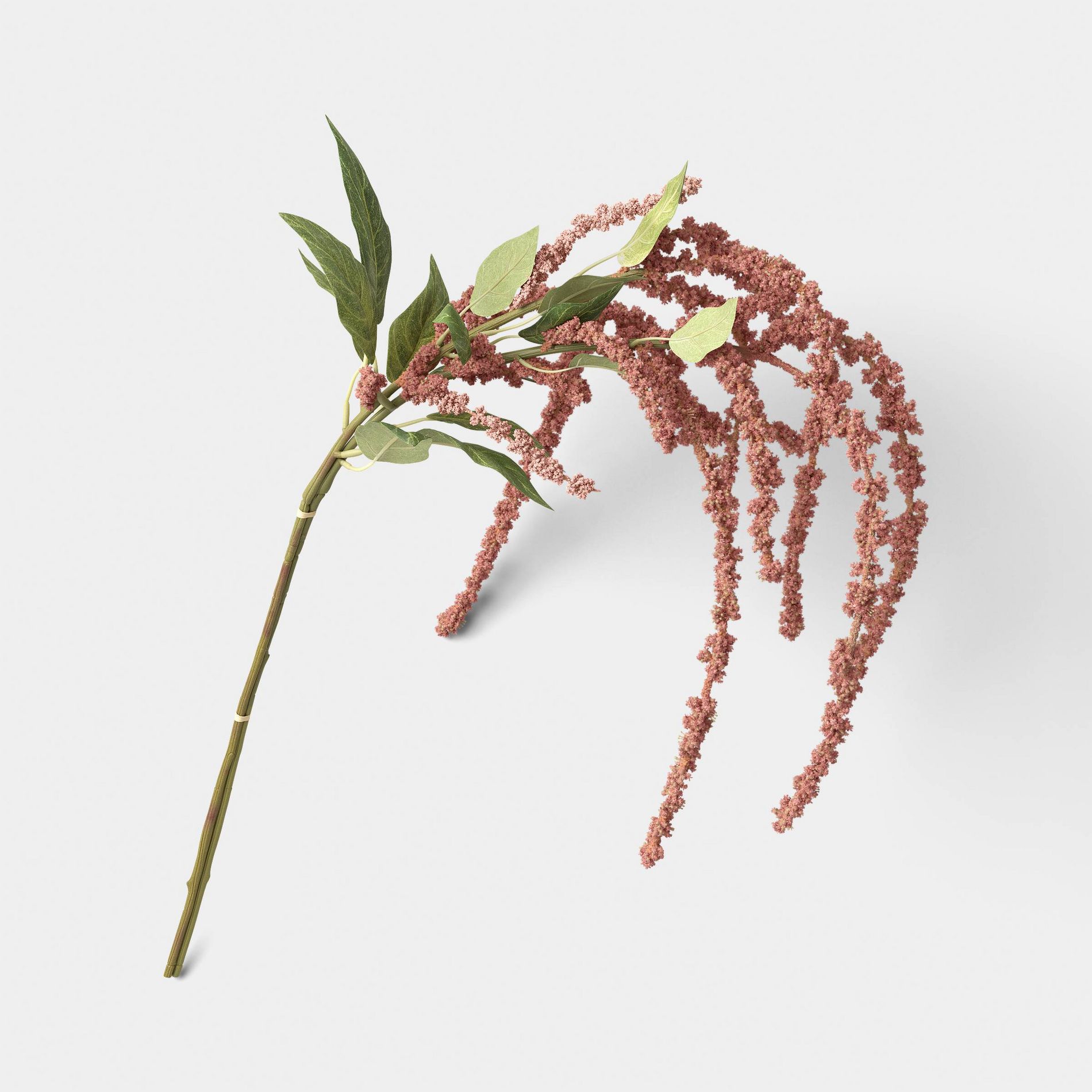 Amaranthus Stem - Threshold™