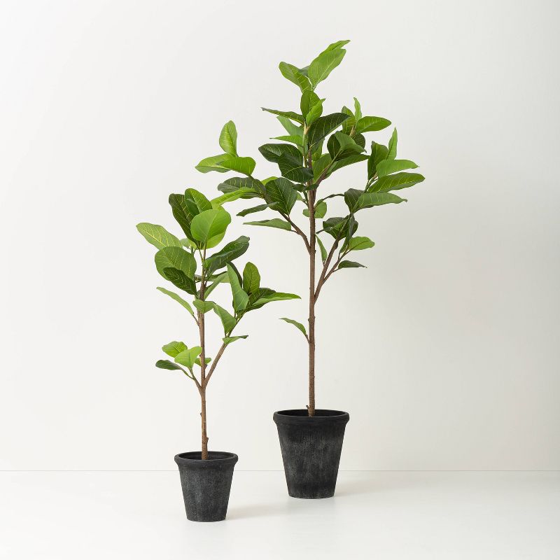 39&#34; Faux Audrey Ficus Tree - Hearth &#38; Hand&#8482; with Magnolia, 5 of 7