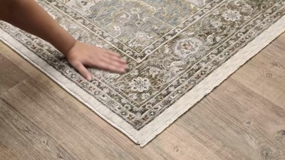 Ivory and Gold Traditional Synthetic 4' x 6' Area Rug