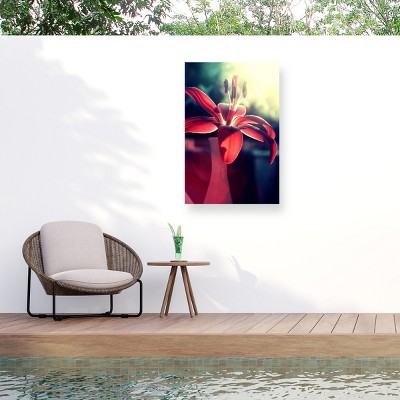 "Lady in Red" Outdoor Canvas