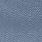 postman blue