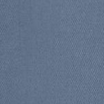 postman blue