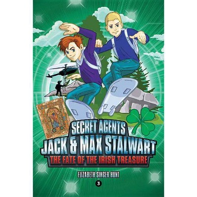 Secret Agents Jack and Max Stalwart: Book 3: The Fate of the Irish Treasure: Ireland - by  Elizabeth Singer Hunt (Paperback)