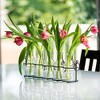 Le'raze 5pc Glass Flower Vases with Black Metal Holder - 4 of 4