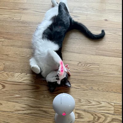 Premier pet multi laser automatic hot sale cat toy