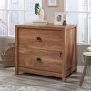Sauder Cannery Bridge Lateral File Sindoori Mango: 5-Year Warranty, Laminate Finish, MDF, Metal Hardware, 2 Drawers - 3 of 4