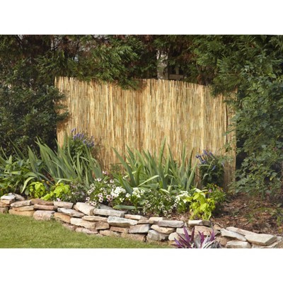Natural Bamboo 48'' H x 96'' W Peeled and Polished Reed Fence