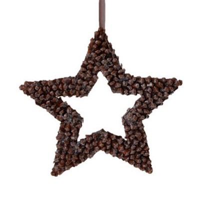  Raz Imports 13" In The Birches Pine Cone Star Christmas Ornament - Brown 