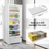 Velivi 27.55 in. W 14.8 cu. ft. Commercial Display Refrigerator 1-Glass Door Beverage Cooler in White - 4 of 4