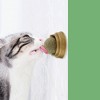 Rotating Natural Catnip Ball,Molars Cleans Teeth Bites Catnip Balls,Healthy Promote Digestion Cat Grass Snack - 2 of 4