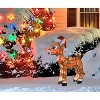 ProductWorks 24 Inch 3D Pre Lit Rudolph with C9 Light Strand, Brown - 2 of 3