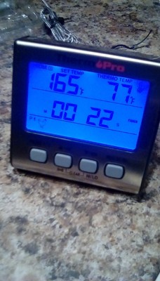 ThermoPro TP17W Digital Leave-in Meat Thermometer