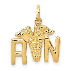 Black Bow Jewelry 14k Yellow Gold Registered Nurse Charm - 1 of 4