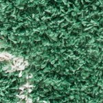 green/ivory