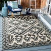 Veranda VER096 Power Loomed Indoor/Outdoor Rugs - Safavieh - 2 of 4