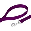 Country Brook Petz 1 Inch Nylon Dog Leash - 4 of 4