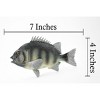 Collectible Wildlife Gifts | Fish, Rock Bream, Bass, Museum Quality, Hand Painted, Rubber Fish, Realistic Toy Figure, Model, Gift,   7"   CH381 BB142 - 3 of 4