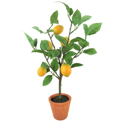 Set of 3 Artificial Lemon Plant in Pots - LCG Florals