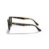 Ray-Ban RB4259 51mm Unisex Irregular Sunglasses - 3 of 4