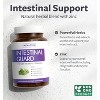 Intestinal Guard Capsules, Potent Natural Formula with Wormwood, Black Walnut, Goldenseal, Pau D'Arco, Clove, Garlic & More, Health's Harmony, 120ct - 2 of 4