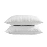 2pk Shredded Memory Foam Pillow With Removable Cover - Blue Ridge Home Fashions