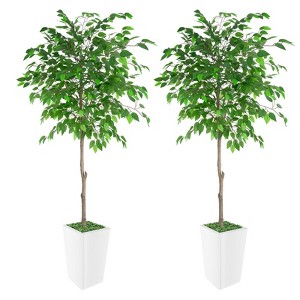Artificial Ficus Tree, Ideal for Home Decor and Housewarming Gift - 1 of 4