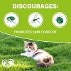 Beloved Pets Flea and Tick Support, Chewable Pils for Cats, Natural Pest Defense Oral Supplement Salmon Flavor 10 OZ - 1 Pack - 3 of 4