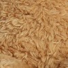 Aurora Large Bonny Bear Snuggly Stuffed Animal Tan 13" - 3 of 3