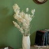 Uniquewise Preserved Real Floral Stems Chic Vase Fillers & Accents for Bouquets Centerpieces - 2 of 4