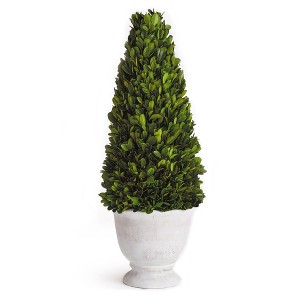 Plum & Post Boxwood Cone Topiary In Pot - 1 of 4