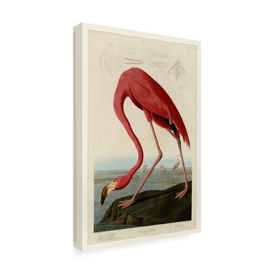 American Flamingo Light Mixed Media Canvas Art 19" x 12"