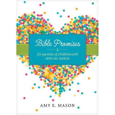 Bible Promises for Parents of Children with Special Needs - by  Amy E Mason (Paperback)