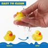 25 Pcs Mochi Squishy Toys for Kids Mini Kawaii Squishies Fidget Toys Animals & Fruit Stress Relief Toys for Party Favors, Pinata Filler, Goodie Bags - 4 of 4