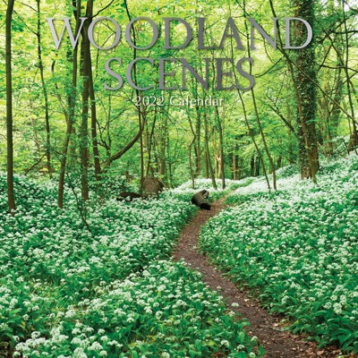 The Gifted Stationery 2021 - 2022 Nature Monthly Wall Calendar, 16 Month, Natural Woodland Theme with Reminder Stickers, 12 x 12 in