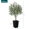 DR.Planzen 5-8FT Adjustable Artificial Olive Tree - UV Resistant Fake Plant in 15.7-22.7" Tall Planter (B/W/Coffee) for Indoor/Outdoor - 2 of 4