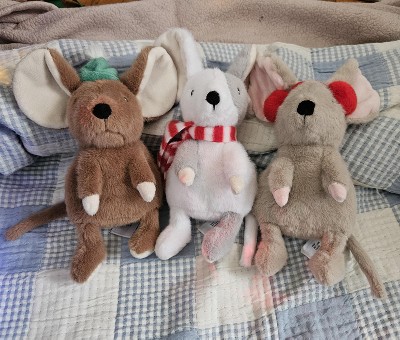 Guest review image 1 of 1, zoom in