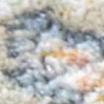 light gray, gray, medium brown, medium gray