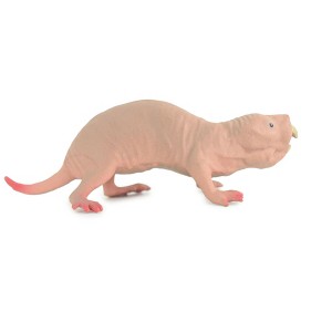 Collectible Wildlife Gifts | Naked Mole Rat, Desert mole, Museum Quality, Hand Painted, Rubber Animal, Diorama, Toy, Gift, 3 1/2 Inches. CH805 BB188 - 1 of 4