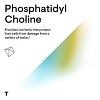 Thorne Phosphatidyl Choline - 420mg Phosphatidylcholine (PC) - Gluten-Free, Dairy-Free - 60 Gelcaps - 4 of 4