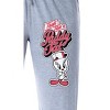 Looney Tunes Womens' Tweety Bird Puddy Tat Character Sleep Pajama Pants Grey - 2 of 4