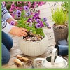 2.5 lb Polished River Stones - Ideal for Indoor/Outdoor Planters, Garden Landscaping, Vases & Aquariums - 4 of 4