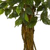 HomeStock  6.5 ft. Artificial Ficus Tree in Pot for Indoor/Outdoor - 3 of 4