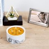 Pavilion Gift Company - Cat - 10 oz - 100% Soy Wax Reveal Triple Wick Candle Scent: Tranquility - Flame Candles - 2 of 4