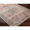 Hauteloom Dunsha Boutique Washable Area Rug - 4 of 4